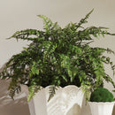NAPA Home & Garden, SOFT FERN DROP-IN Collection