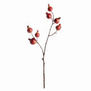 POMEGRANATE BRANCH 21.5"