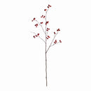 ROSEHIP BRANCH 43"