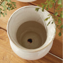 NAPA Home & Garden, DELANEY POT Collection