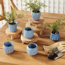 NAPA Home & Garden, DEZIE MINI POTS, COLLECTION