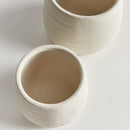 NAPA Home & Garden, SELMA POTS, SET OF 2,N5DG30