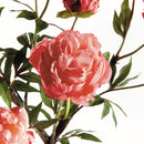 Peony Branch by NAPA Home & Garden