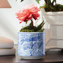 Mini Peony Potted Plant by NAPA Home & Garden