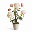 Peony Potted Drop-In