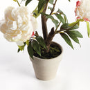 Peony Potted Drop-In