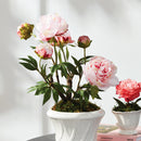 Peony Potted Drop-In