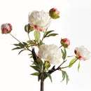 PEONY BRANCH