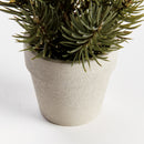 MINI PINE TREE POTTED DROP-IN 9"