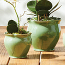 NAPA Home & Garden, MEGAN POTS Collection