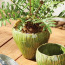 COURTNEY & EVELYN HOME DECOR COLLECTION