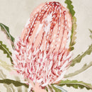 QUEEN PROTEA GICLEES, SET OF 3