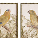 TROPICAL PARROT PRINTS, SET OF 2