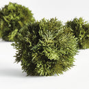 NAPA Home & Garden, CYPRESS ORB Collection