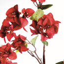 NAPA Home & Garden Bougainvillea Stems Bundle