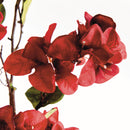 NAPA Home & Garden Bougainvillea Stems Bundle