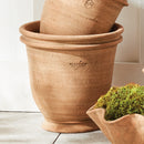 NAPA Home & Garden, WAKEFIELD HANDMADE DRYDEN POT