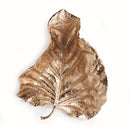 Colocasia Wall Art Large