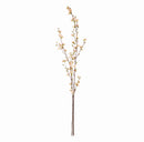 Quince Blossom Branches, Bundle Of 2