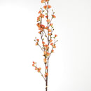 Quince Blossom Branches, Bundle Of 2