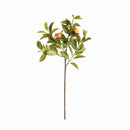 Faux Orange Stems 31", Set Of 4