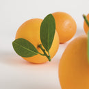 Faux Oranges 5" Assorted, Set Of 6