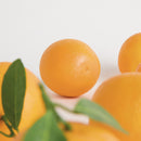 Faux Oranges 5" Assorted, Set Of 6