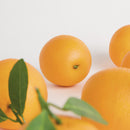 Faux Oranges 5" Assorted, Set Of 6