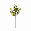 Faux Lemon Stems 31", Set Of 4