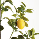 Faux Lemon Branches 43", Set Of 2