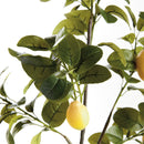 Faux Lemon Branches 43", Set Of 2