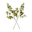 Faux Lemon Branches 43", Set Of 2