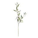 Olive Stems With Olives 32", Set Of 4
