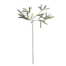 Olive Stems 30", Set Of 4