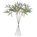 Olive Stems 30", Set Of 4