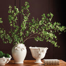 Shady Lady Black Olive Stems 28", Set Of 4