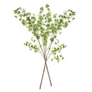 Shady Lady Black Olive Branches 56", Set Of 2