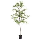 Shady Lady Olive Tree Drop-In 89"