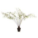 Maidenhair Drop-In 44"