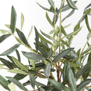 Olive Tree Drop-In 17.5"