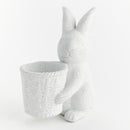 Janie Rabbit With Basket Pot