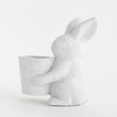 Janie Rabbit With Basket Pot