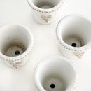 Classic Rabbit Mini Pots, Set Of 4