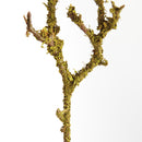 Lichen Branches 17", Set Of 6