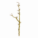 Lichen Branches 28", Set Of 2