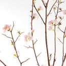 Pink Quince Blossom Branches 54", Set Of 2