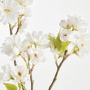 Double Cherry Blossom Stems 28", Set Of 6