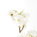 Double Cherry Blossom Stems 28", Set Of 6