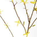 Forsythia Stems 47", Set Of 6