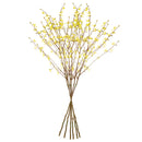 Forsythia Stems 47", Set Of 6